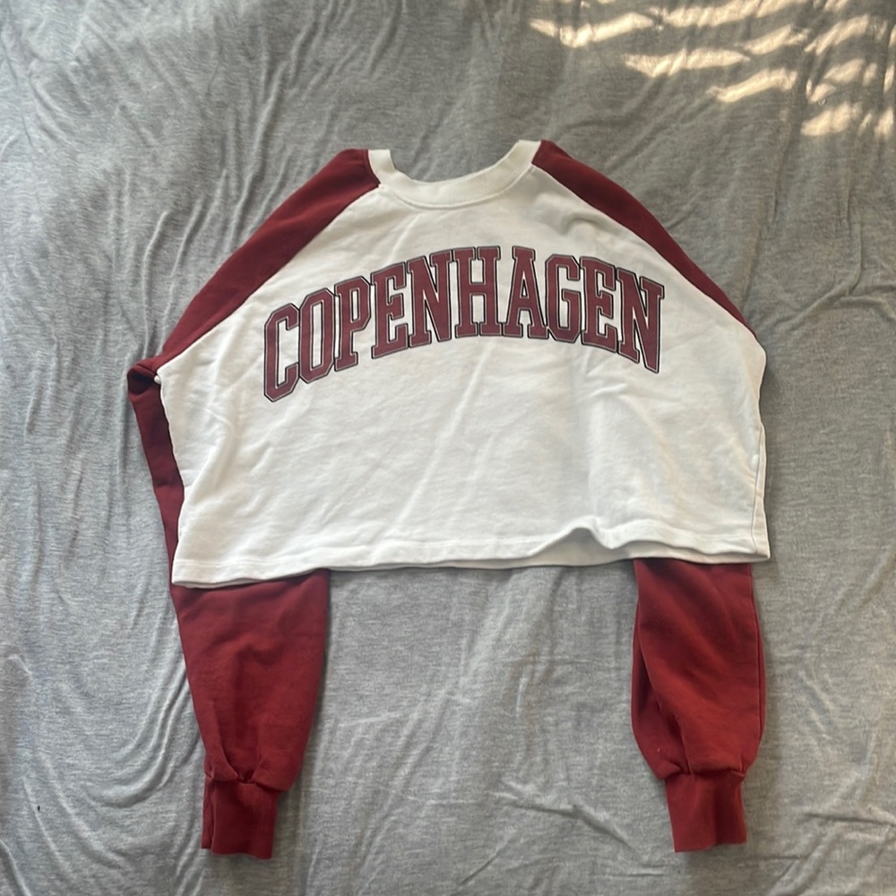 Copenhagen Cropped Sweatshirt - FashionNova